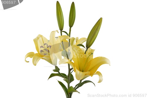 Image of yellow lily bouquet