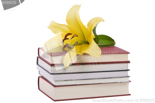 Image of pile of books and yellow lily flower