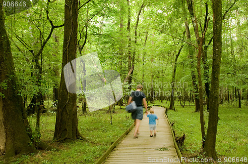 Image of Congaree National park