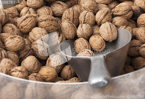 Image of Walnuts for Sale