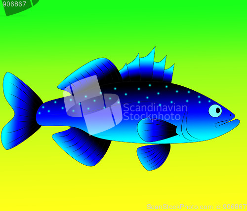 Image of blue fish