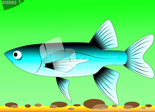 Image of fish