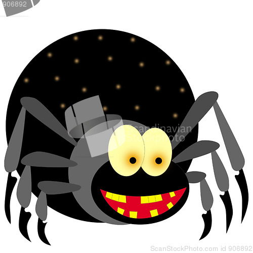 Image of spider