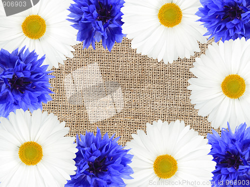 Image of Frame with white and blue flowers