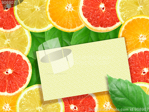 Image of Abstract background of citrus slices