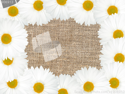 Image of Abstract frame with white flowers