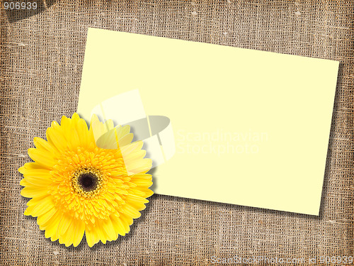 Image of One yellow flower with message-card