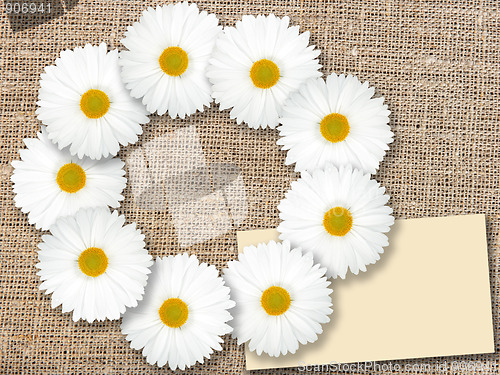 Image of Abstract frame with white flowers
