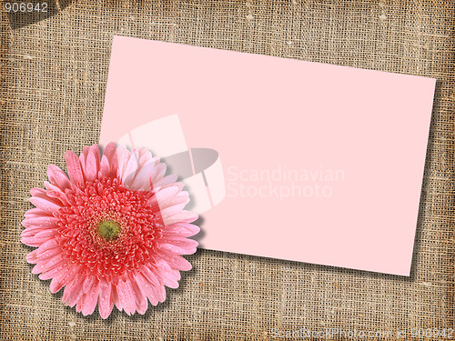 Image of One pink flower with message-card