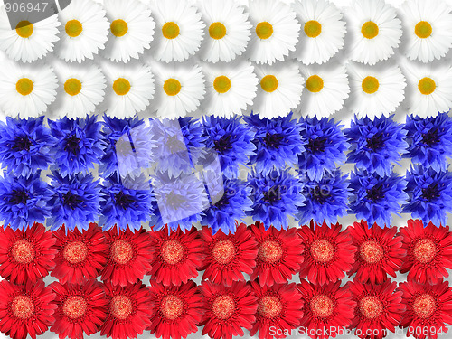 Image of Background of flowers as Russia flag