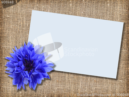 Image of One blue flower with message-card