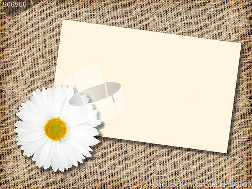 Image of One white flower with message-card