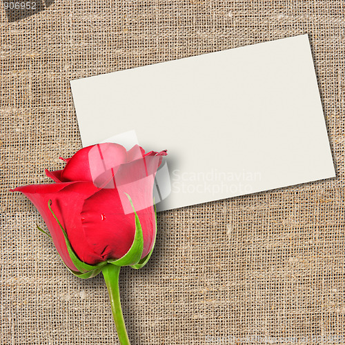 Image of One red rose and message-card