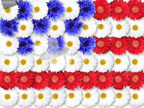 Image of Background of flowers as USA flag