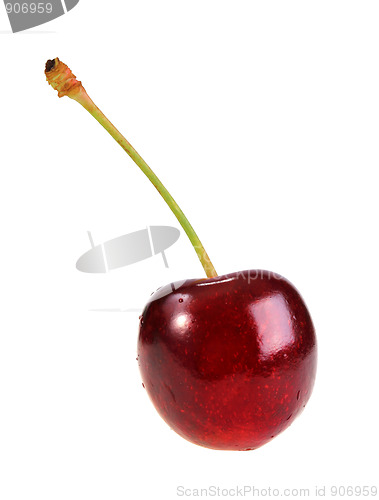 Image of Single dark-red sweet-cherry