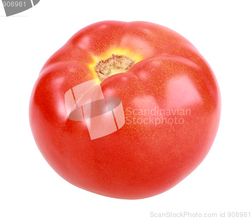 Image of Single red tomato