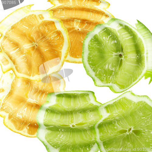 Image of Cross a citrus fruits under water