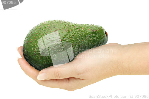Image of Single avocado in a hand of woman