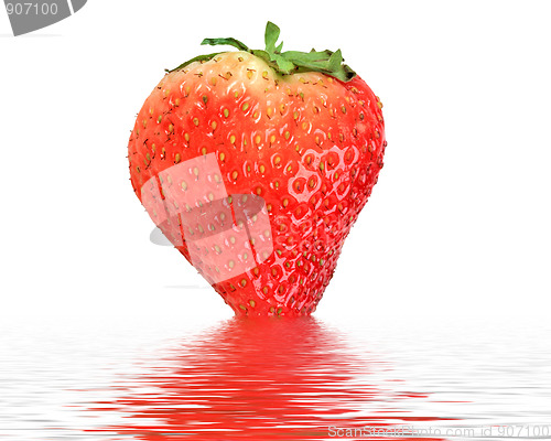 Image of One red strawberry in water