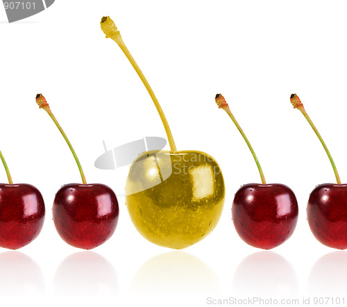 Image of Golden cherry