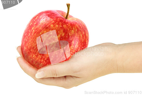 Image of Single red apple in a hand of woman