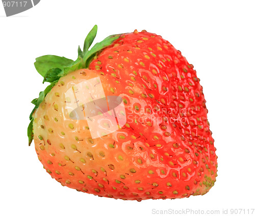 Image of Single red strawberry