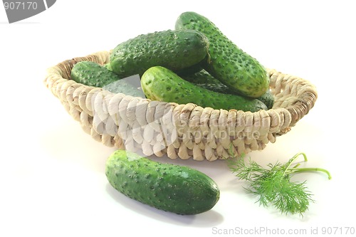 Image of Pickling cucumbers