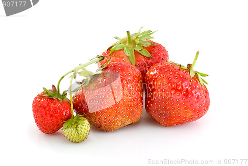 Image of Some ripe red and one unripe strawberries