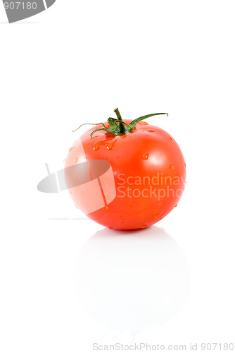 Image of Single ripe red tomato