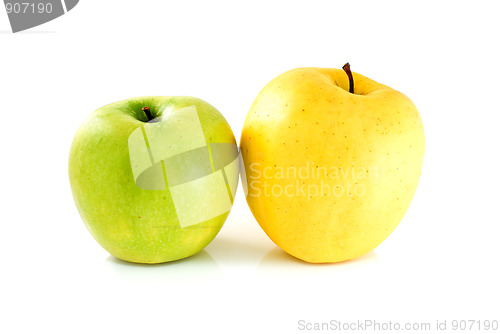 Image of Green and yellow apples 