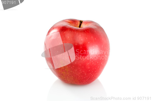 Image of Single red apple