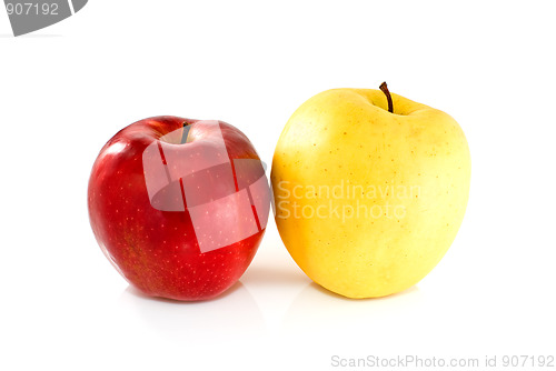 Image of Red and yellow apples
