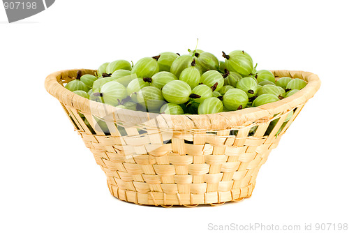 Image of Wicker basket filled with green gooseberries