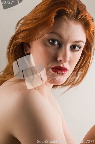 Image of Redhead