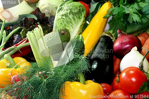 Image of Vegetable shopping