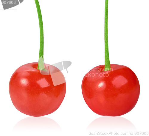 Image of Two red sweet-cherryes