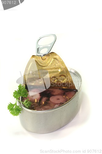 Image of Tin squid
