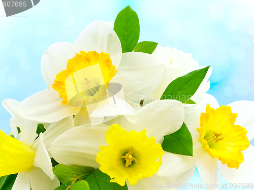 Image of holiday flowers