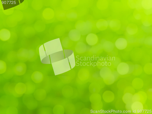 Image of bokeh green background