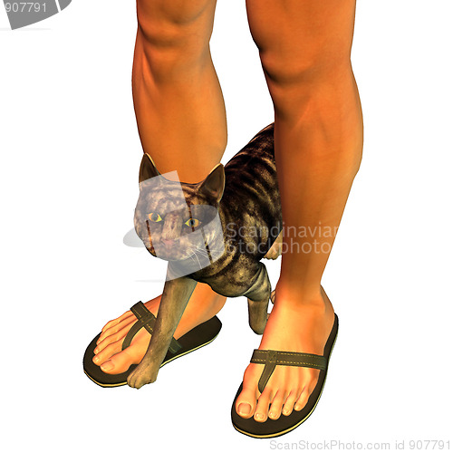 Image of Cat with human