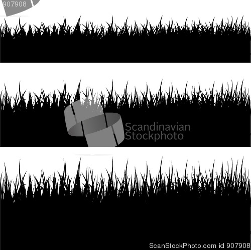 Image of Grass Silhouette