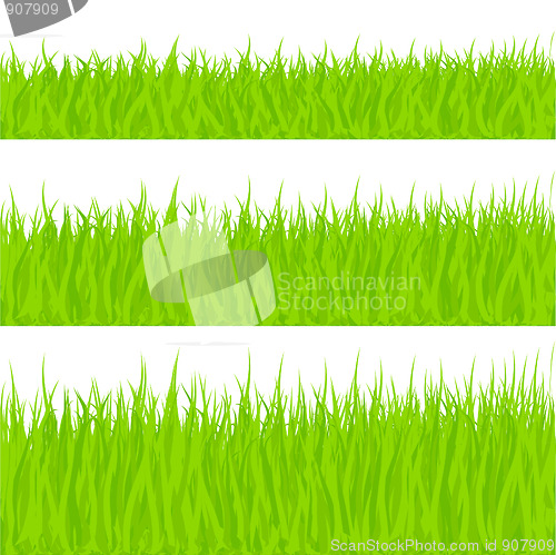 Image of Grass Illustration