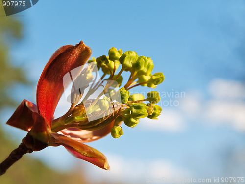 Image of Spring is came!