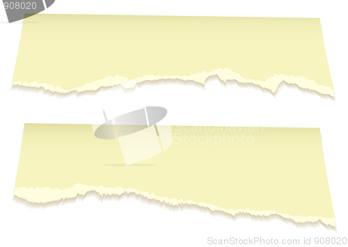 Image of Top torn pages in yellow