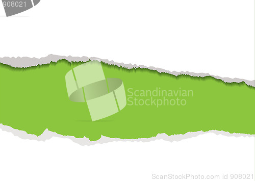 Image of green torn strip background