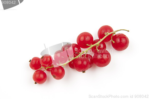 Image of Red currant