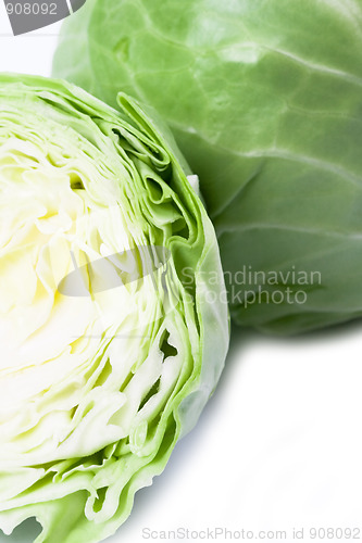 Image of cabbage