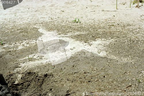 Image of print on the sand