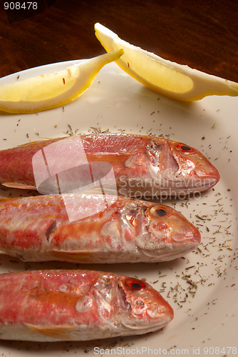 Image of Red mullets