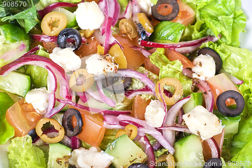 Image of greece salad